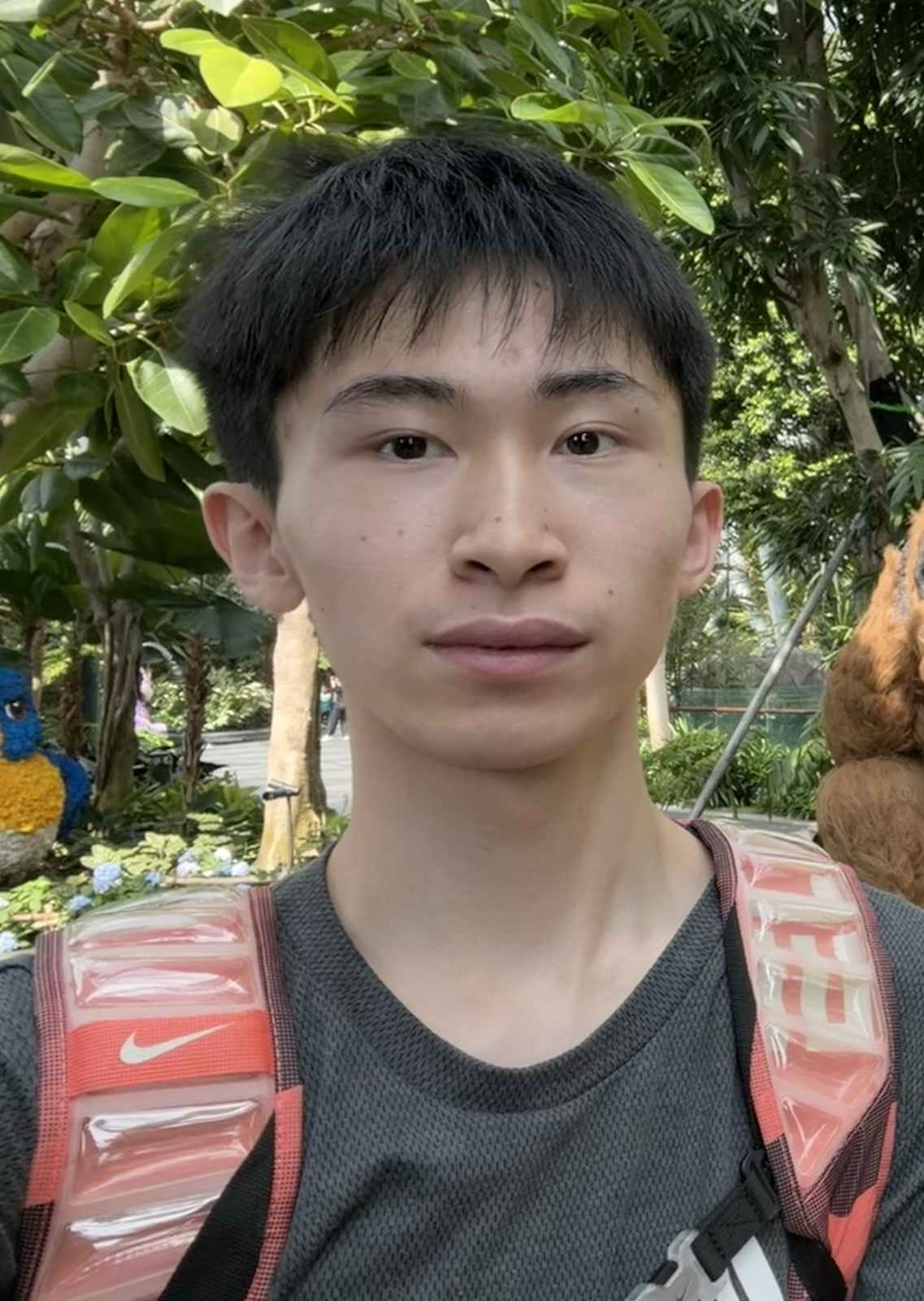 Tong Wu